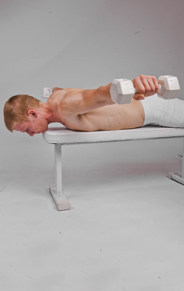 Reverse Fly - Chest Supported, Flat