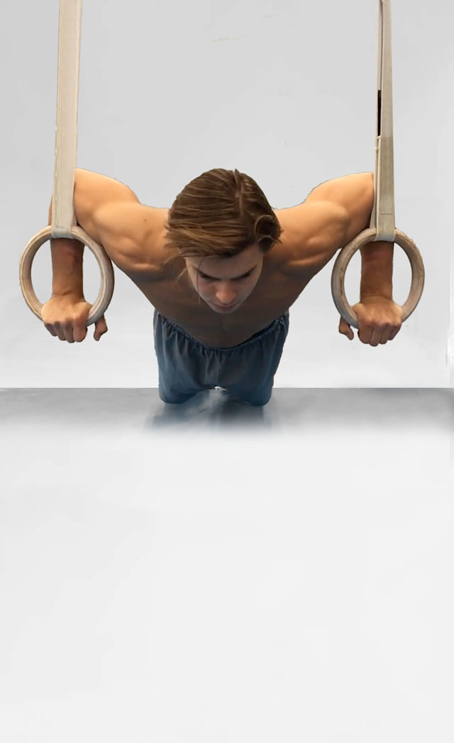 Pushups On Rings