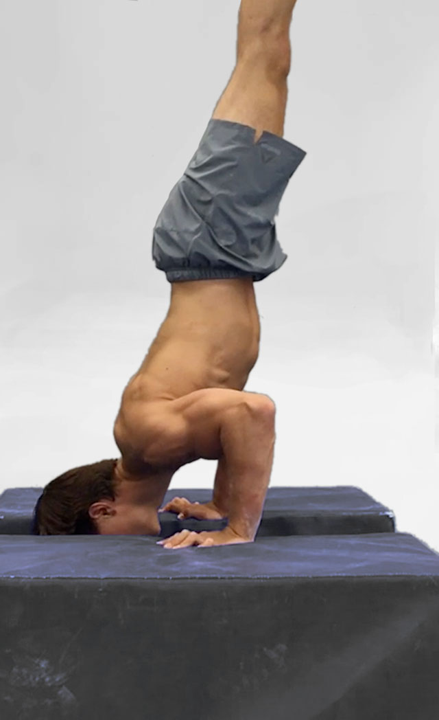 Hand-Stand Push Up - Hands Elevated