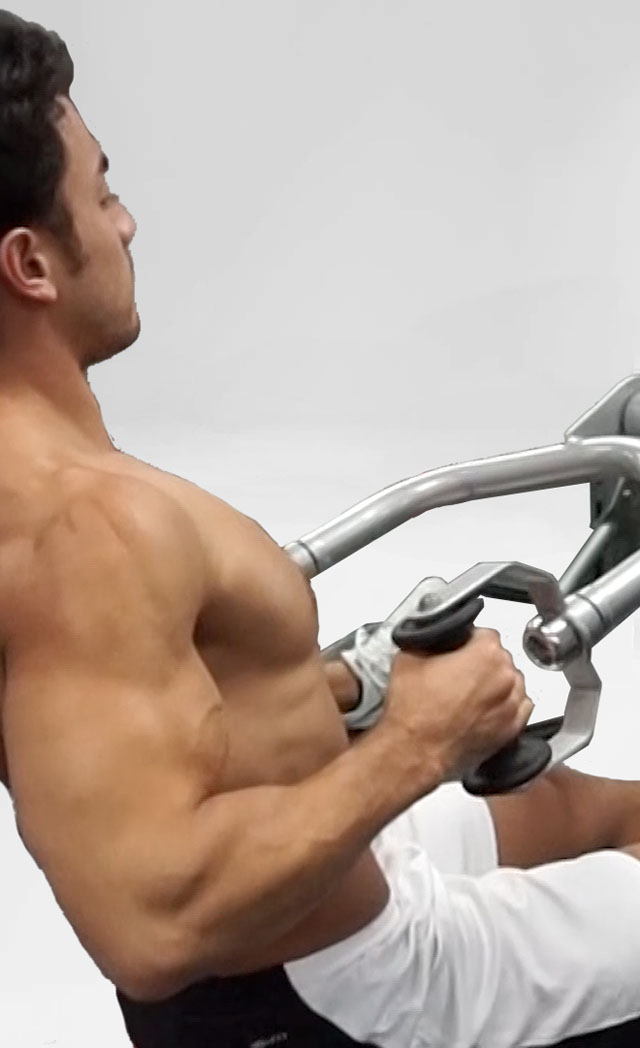 Seated Machine Row