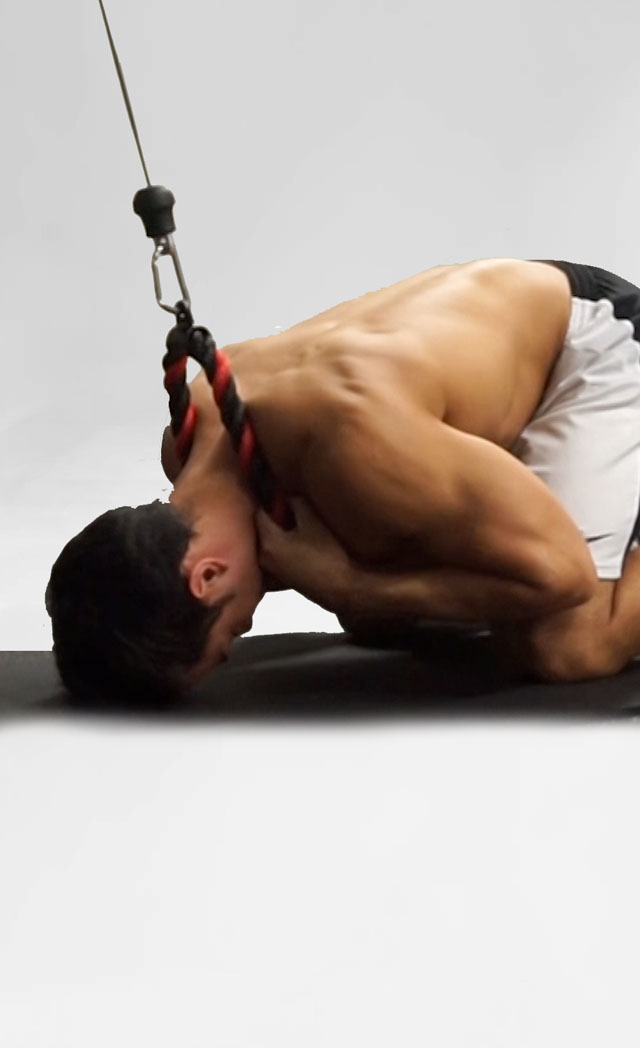 Kneeling Cable Crunch